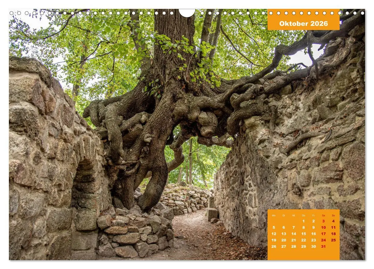 Bild: 9783457591383 | Traumhafter Harz (Wandkalender 2026 DIN A3 quer), CALVENDO...