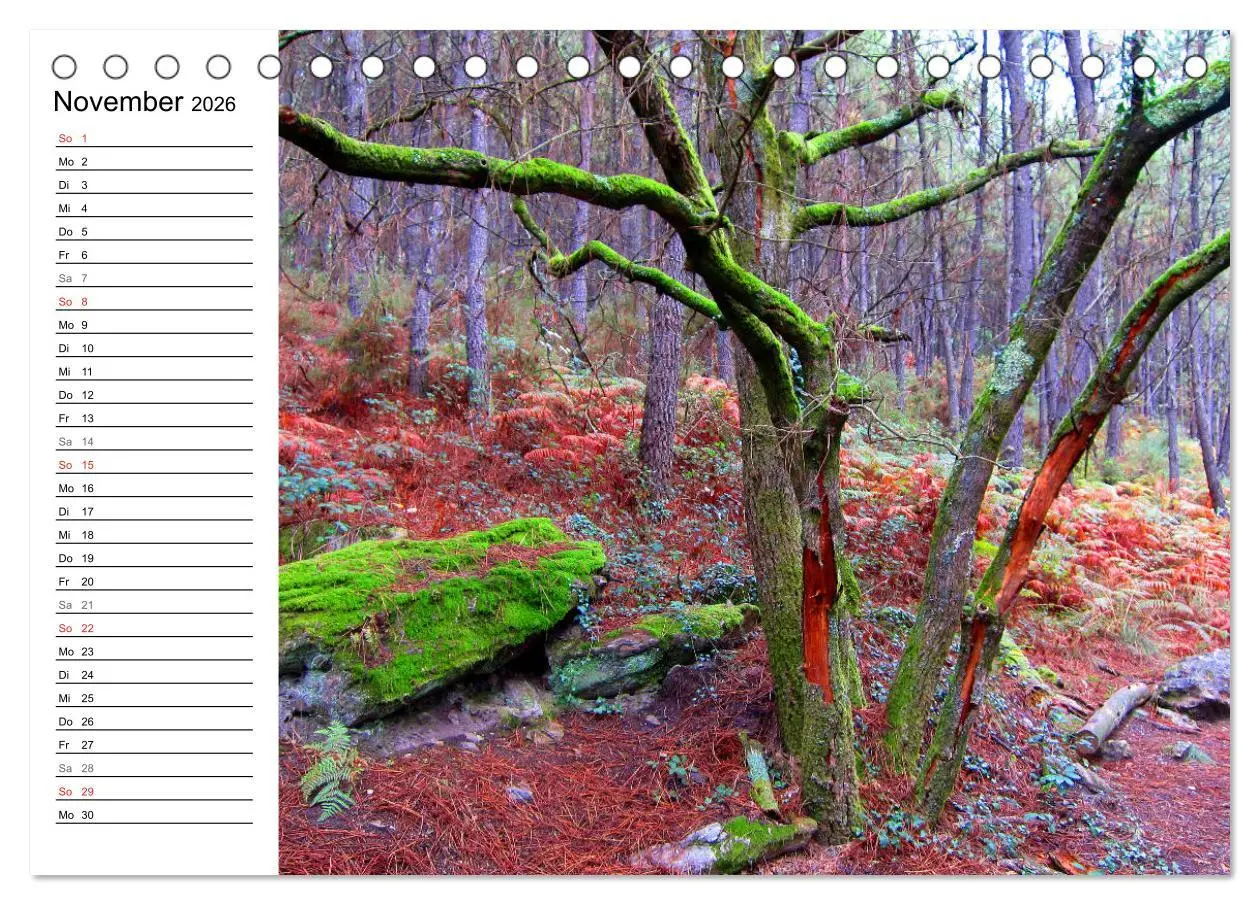 Bild: 9783457731383 | Jakobsweg - Camino Portugues Central (Tischkalender 2026 DIN A5...