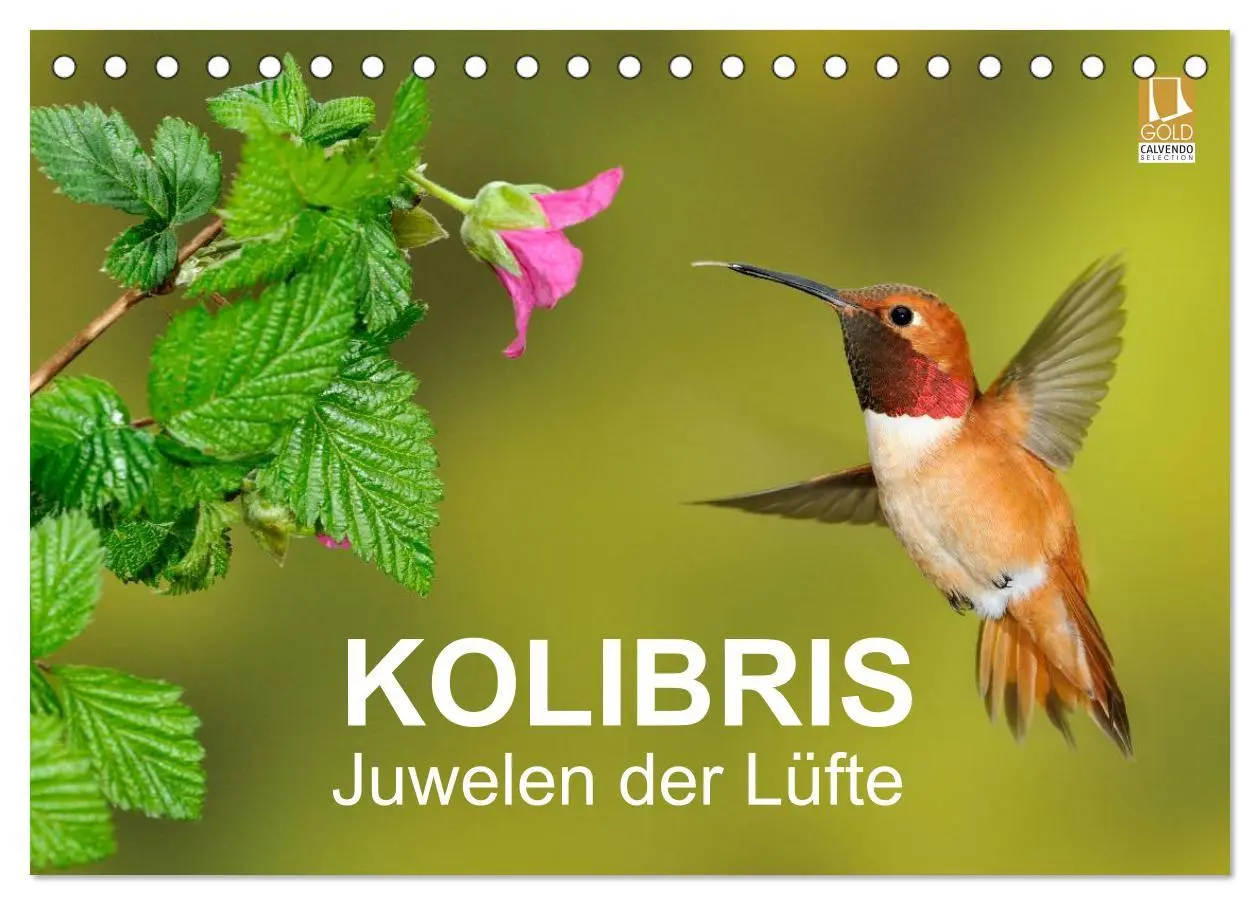 Cover: 9783516061383 | Kolibris - Juwelen der Lüfte (Tischkalender 2026 DIN A5 quer),...