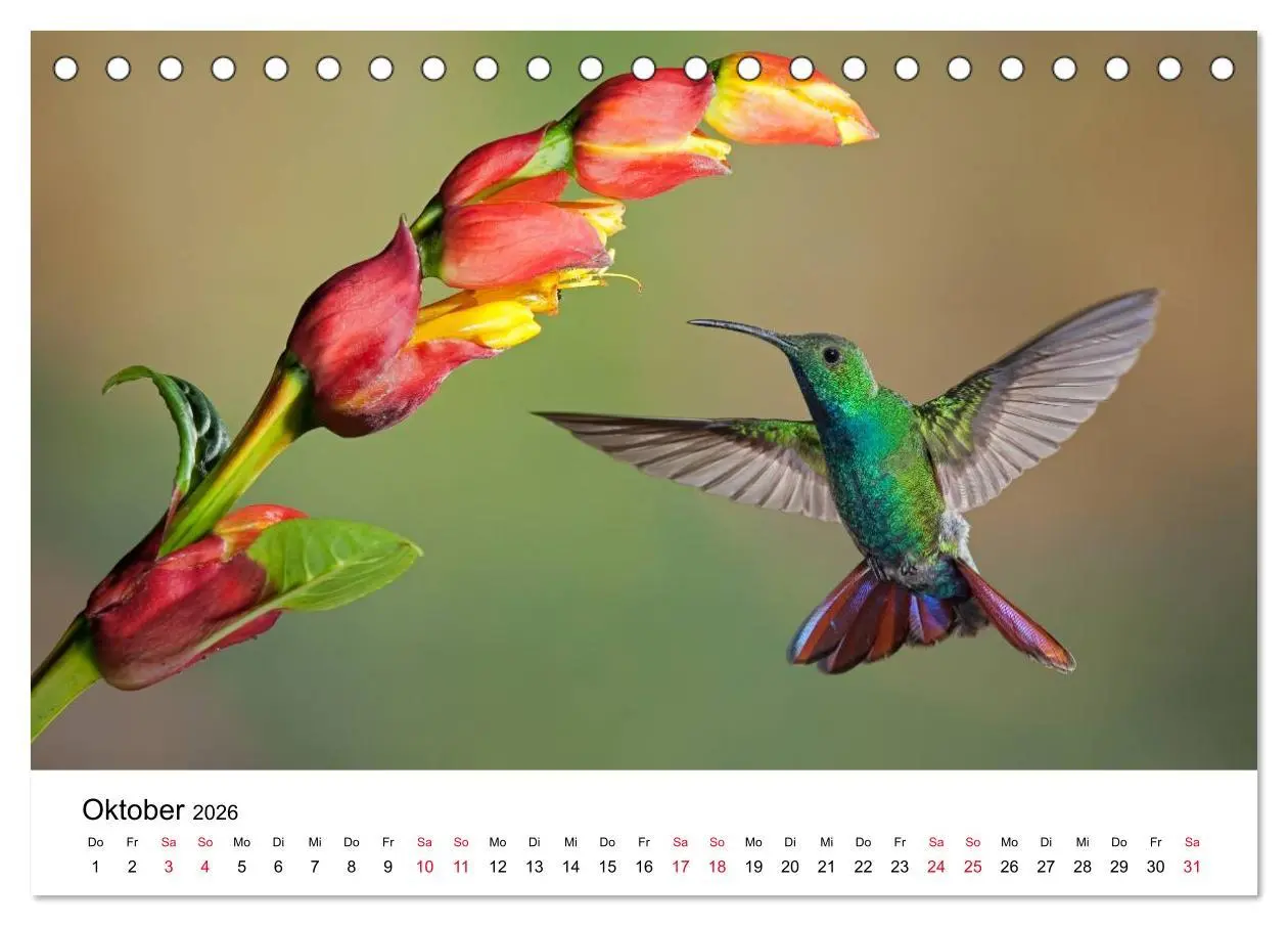 Bild: 9783516061383 | Kolibris - Juwelen der Lüfte (Tischkalender 2026 DIN A5 quer),...