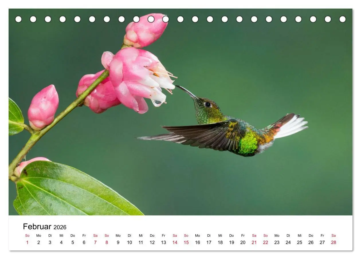Bild: 9783516061383 | Kolibris - Juwelen der Lüfte (Tischkalender 2026 DIN A5 quer),...
