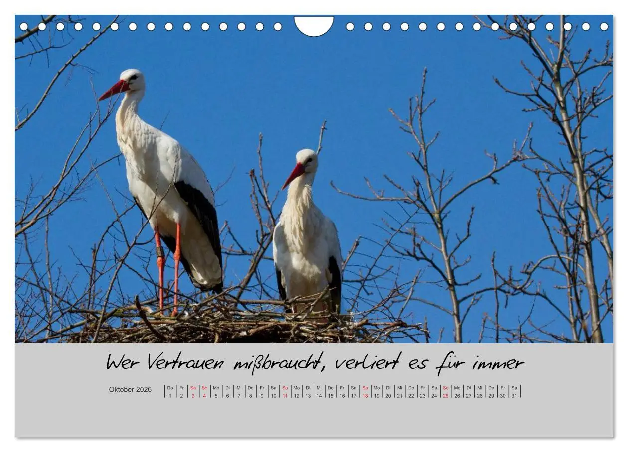 Bild: 9783516201383 | Kleine und große Wahrheiten - Sprüche zum Nachdenken (Wandkalender...