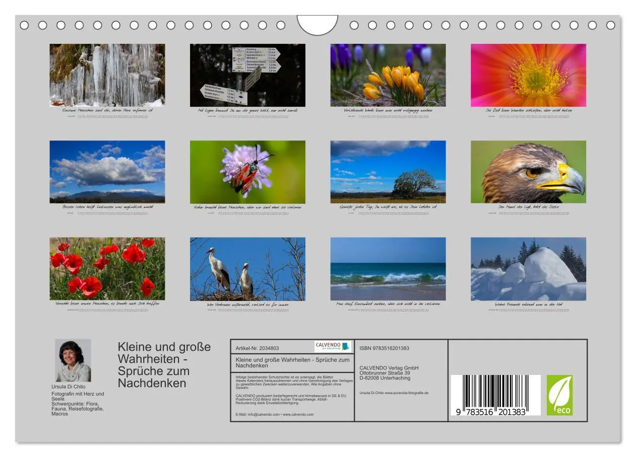 Bild: 9783516201383 | Kleine und große Wahrheiten - Sprüche zum Nachdenken (Wandkalender...
