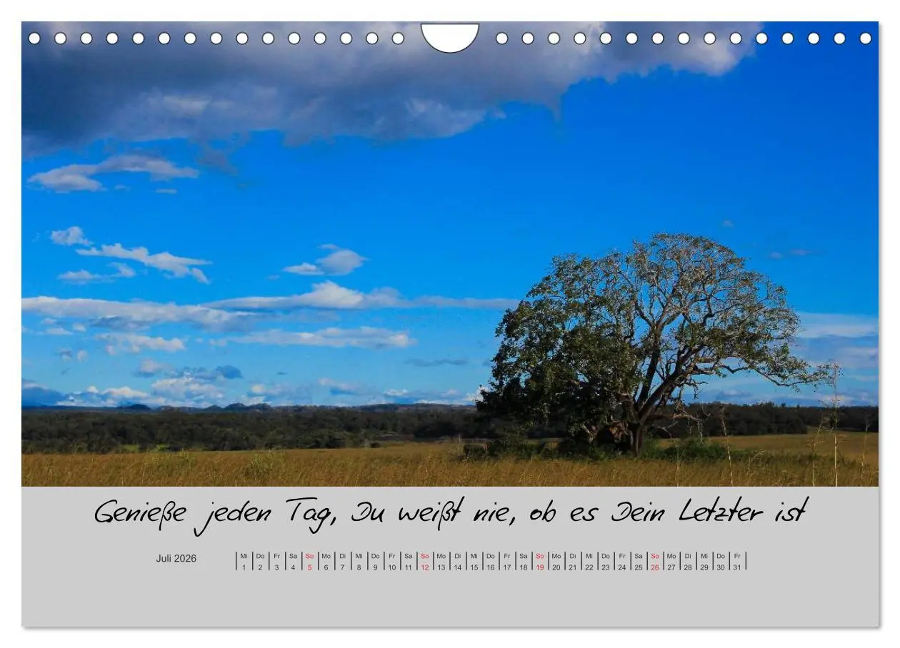 Bild: 9783516201383 | Kleine und große Wahrheiten - Sprüche zum Nachdenken (Wandkalender...