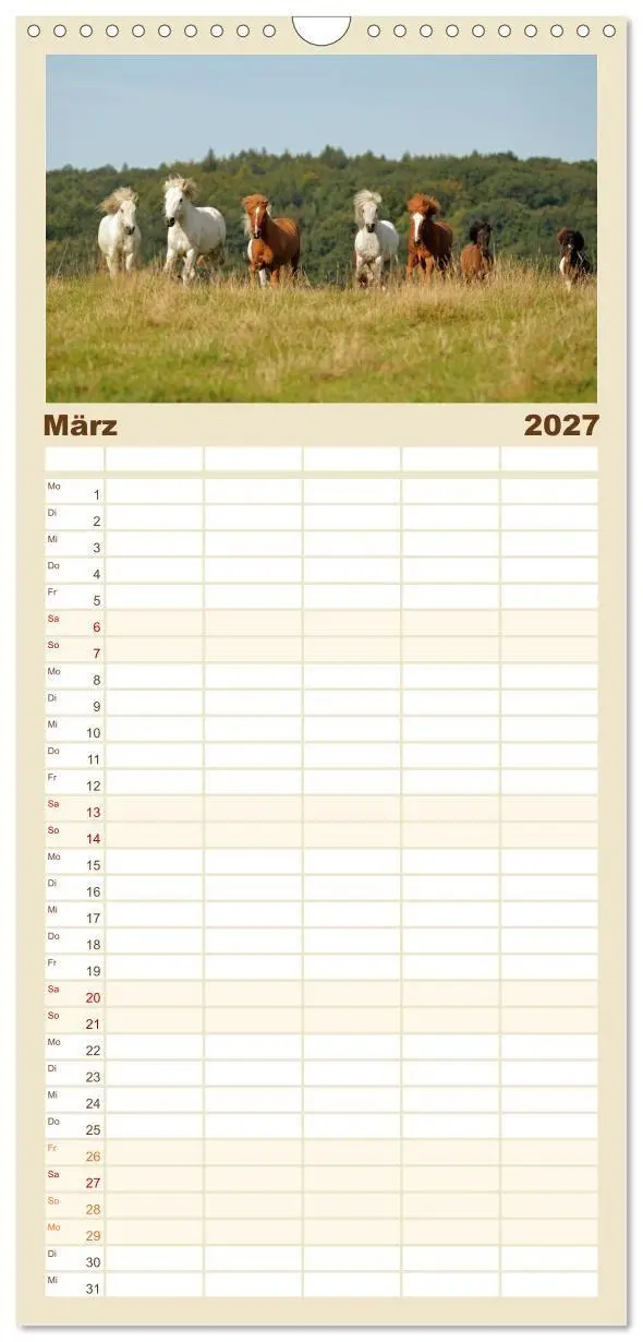 Bild: 9783569531383 | Familienplaner 2027 - Islandpferde - Hufschlag aus Feuer und Eis...