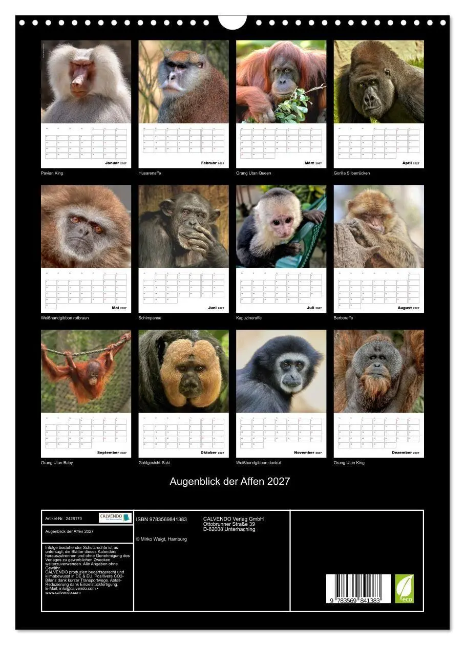 Bild: 9783569841383 | Augenblick der Affen 2027 (Wandkalender 2027 DIN A3 hoch), CALVENDO...