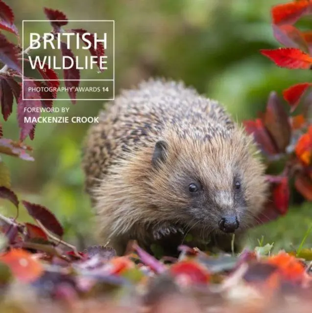 Cover: 9781805951483 | British Wildlife Photography Awards 14 | Will Nicholls | Buch | 2026