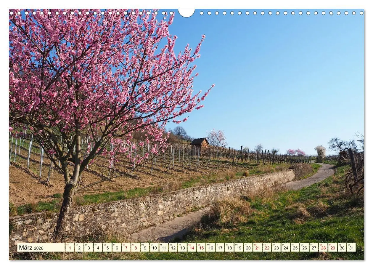 Bild: 9783457411483 | Bensheim a. d. Bergstraße - Ein Stadtspaziergang (Wandkalender 2026...