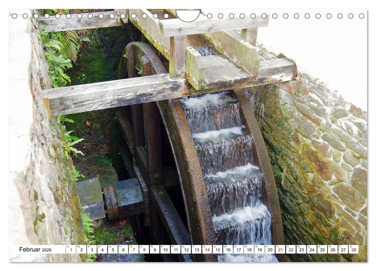 Bild: 9783457651483 | Wind- und Wassermühlen in Sachsen (Wandkalender 2026 DIN A4 quer),...