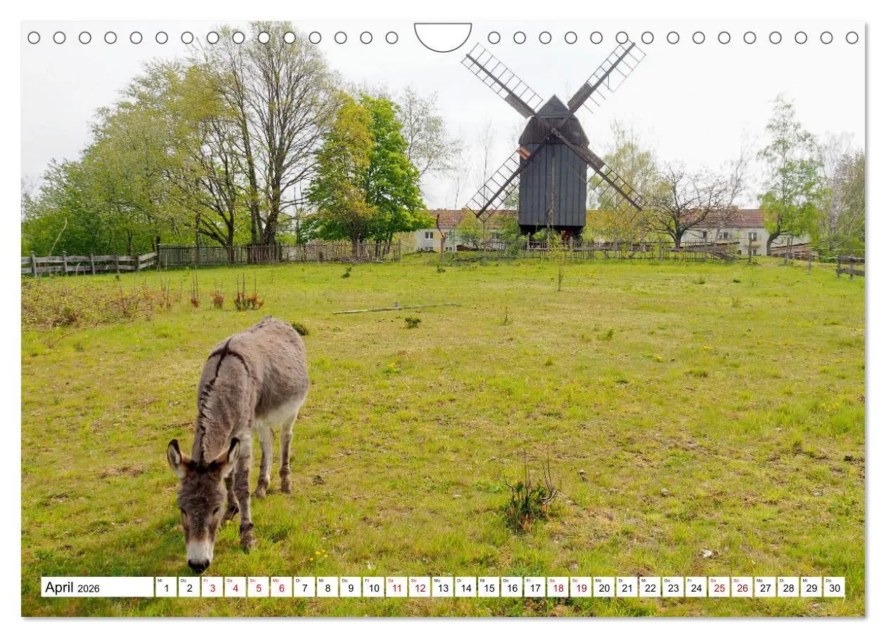 Bild: 9783457651483 | Wind- und Wassermühlen in Sachsen (Wandkalender 2026 DIN A4 quer),...