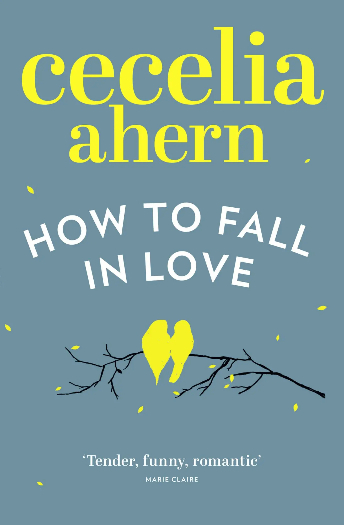 Cover: 9780007481583 | How to Fall in Love | Cecelia Ahern | Taschenbuch | 424 S. | Englisch