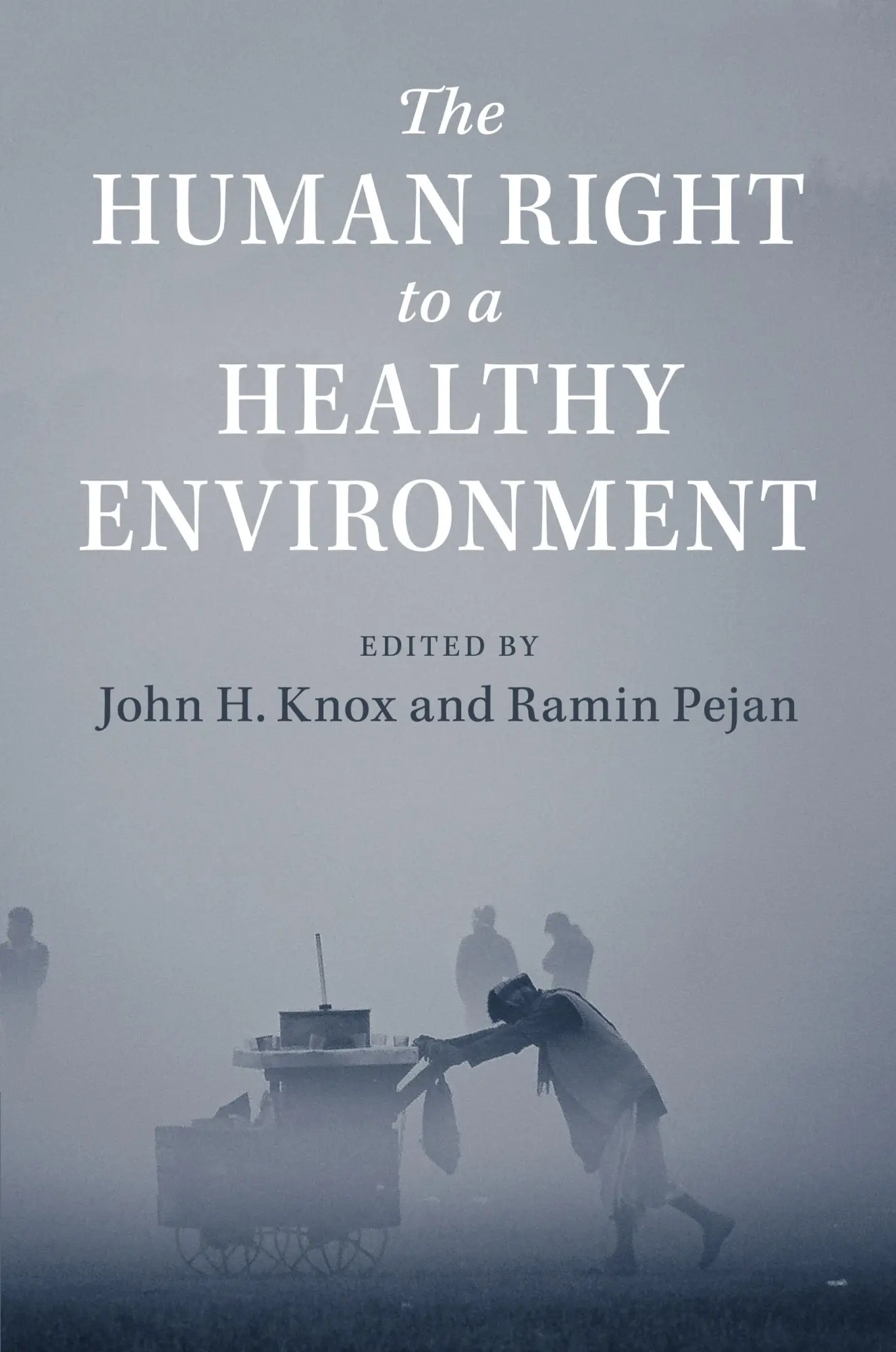 Cover: 9781108431583 | The Human Right to a Healthy Environment | John H. Knox (u. a.) | Buch