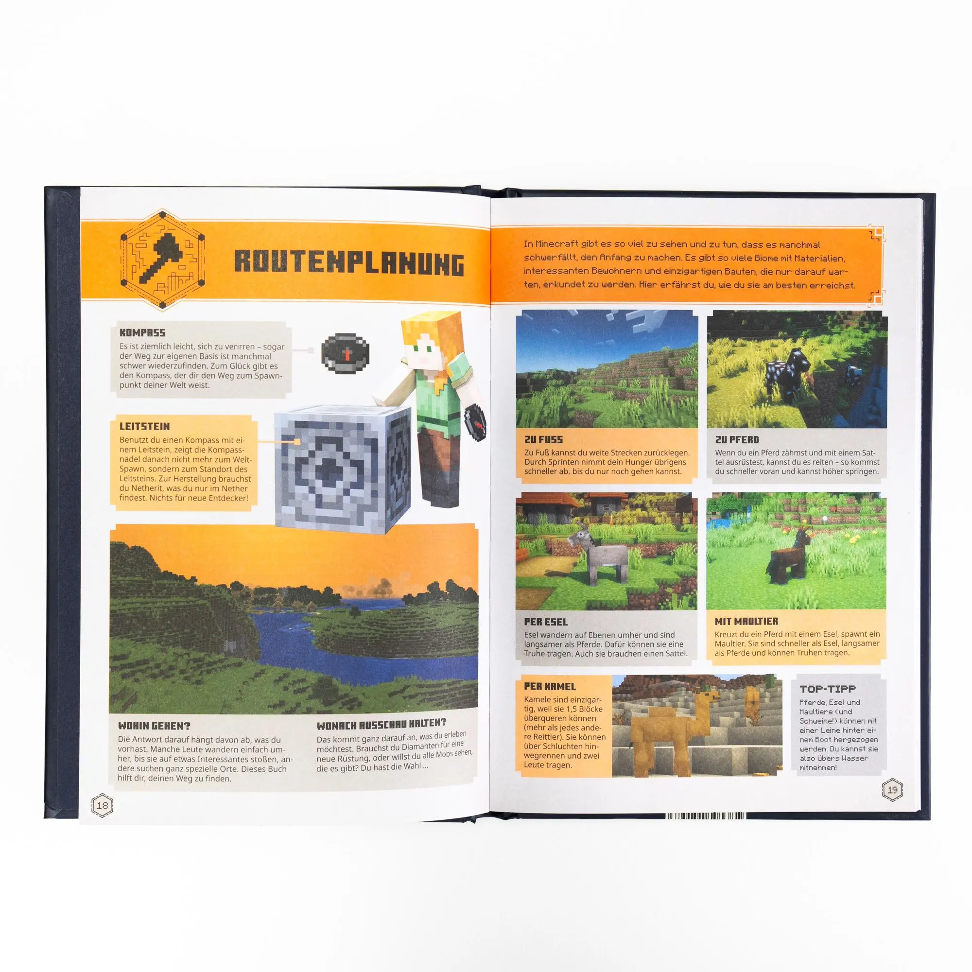 Bild: 9783505151583 | Minecraft - Das Entdecker-Handbuch | Minecraft (u. a.) | Buch | 96 S.