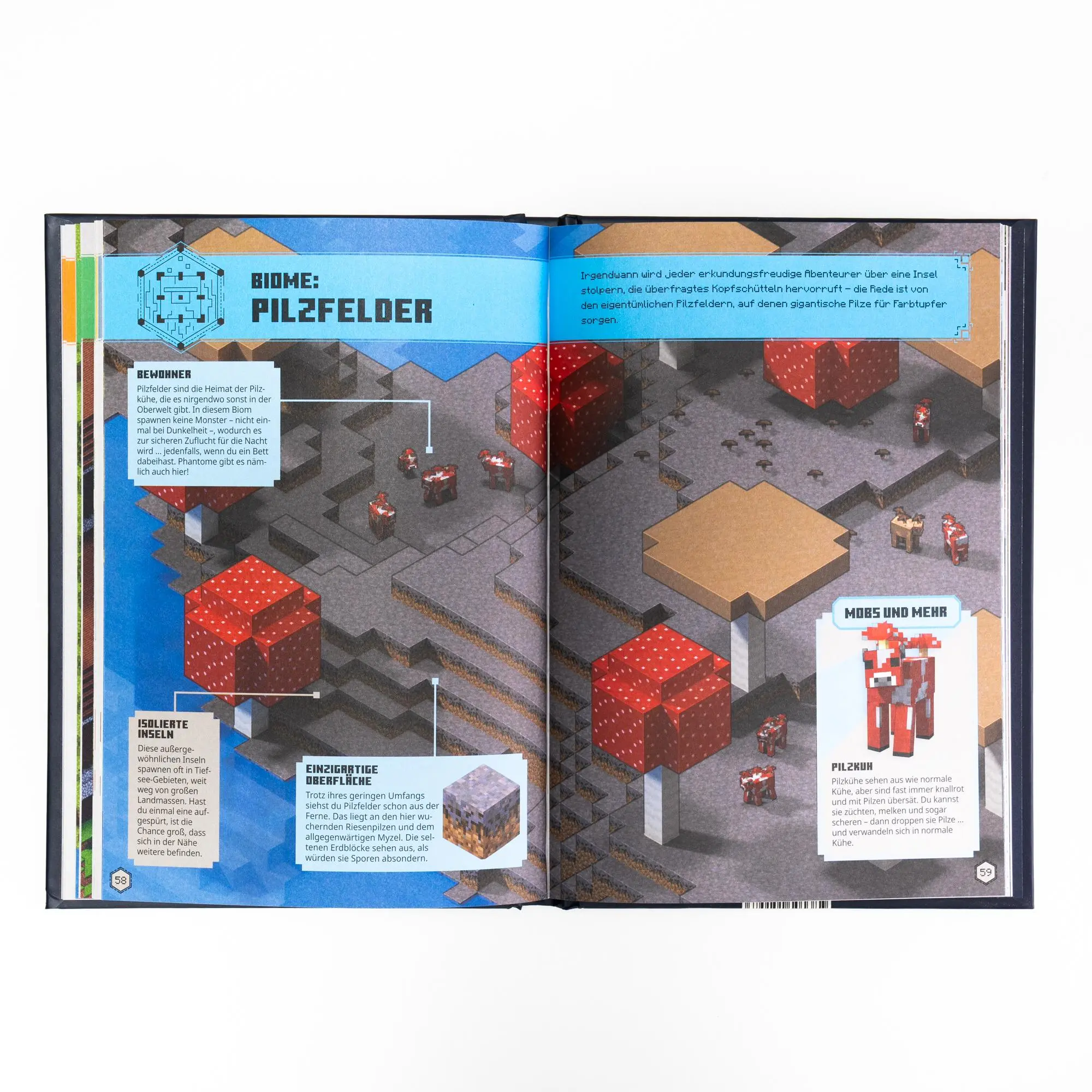 Bild: 9783505151583 | Minecraft - Das Entdecker-Handbuch | Minecraft (u. a.) | Buch | 96 S.