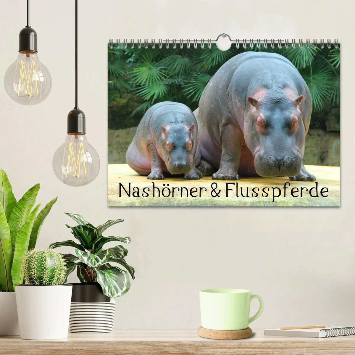 Bild: 9783516111583 | Nashörner &amp; Flusspferde (Wandkalender 2026 DIN A4 quer), CALVENDO...