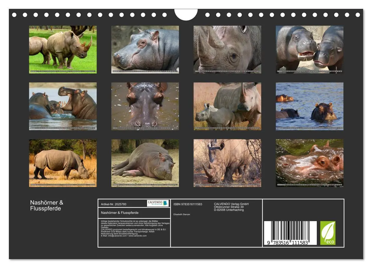 Bild: 9783516111583 | Nashörner &amp; Flusspferde (Wandkalender 2026 DIN A4 quer), CALVENDO...