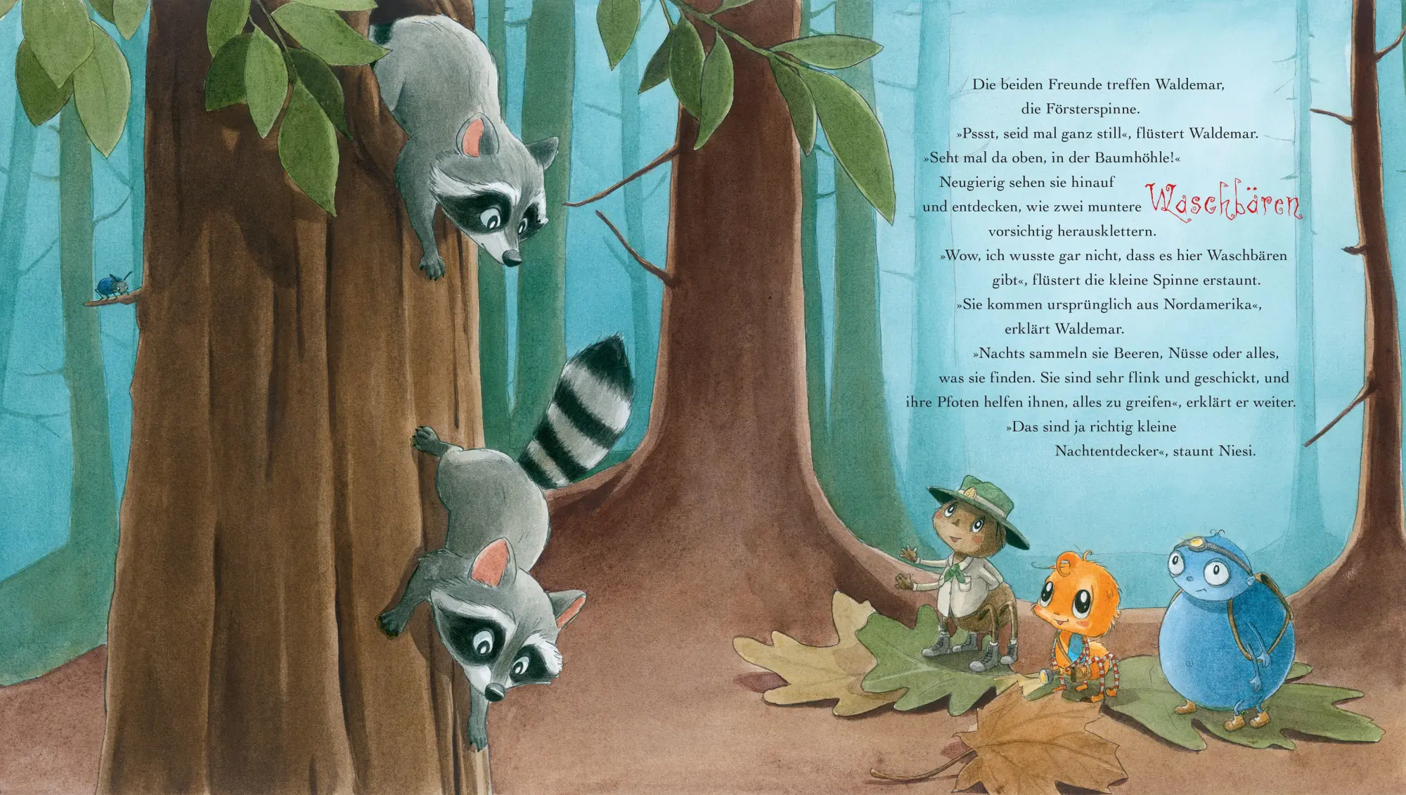Bild: 9783833911583 | Die kleine Spinne Widerlich - Die Nachtwanderung | Diana Amft | Buch