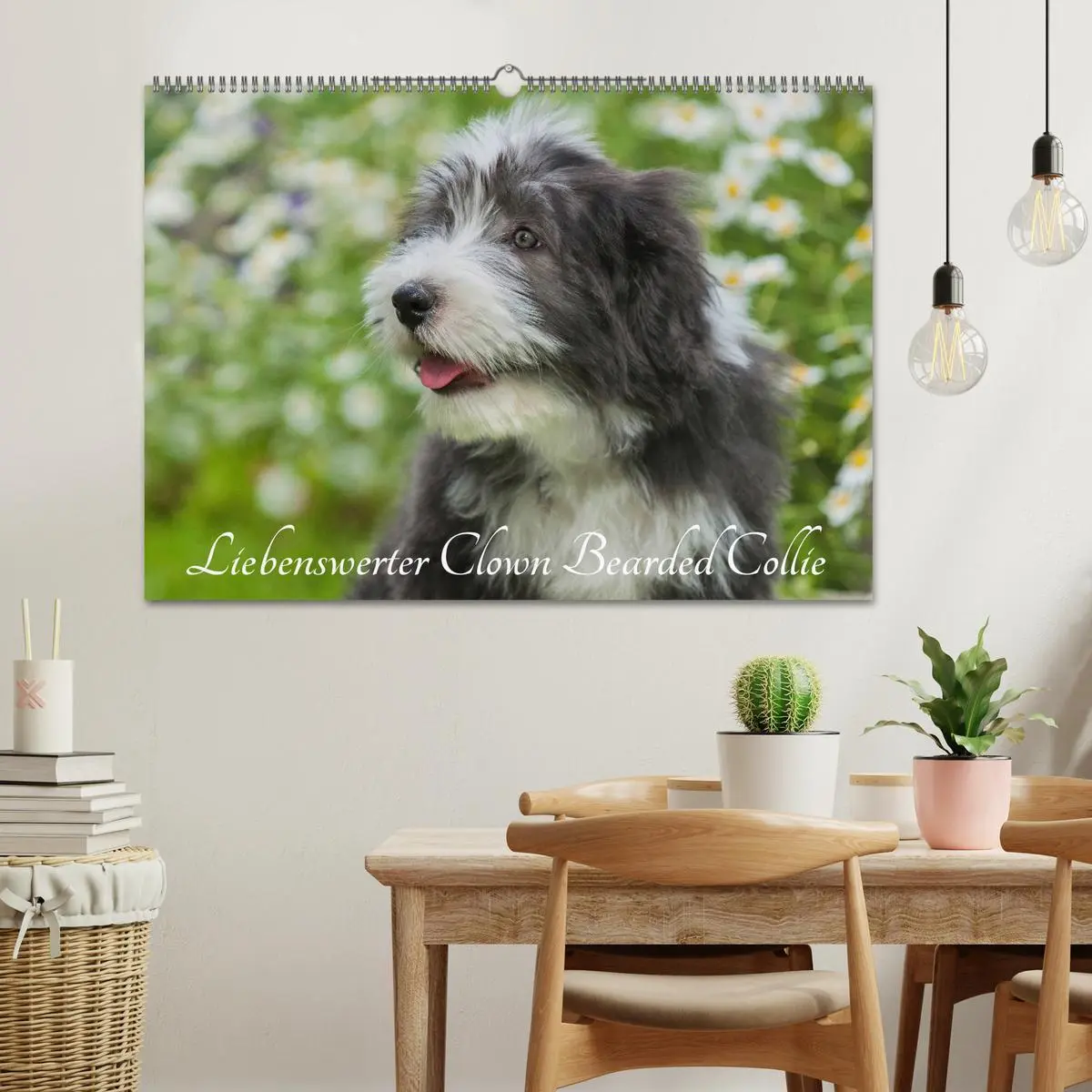 Bild: 9783516031683 | Liebenswerter Clown Bearded Collie (Wandkalender 2026 DIN A2 quer),...