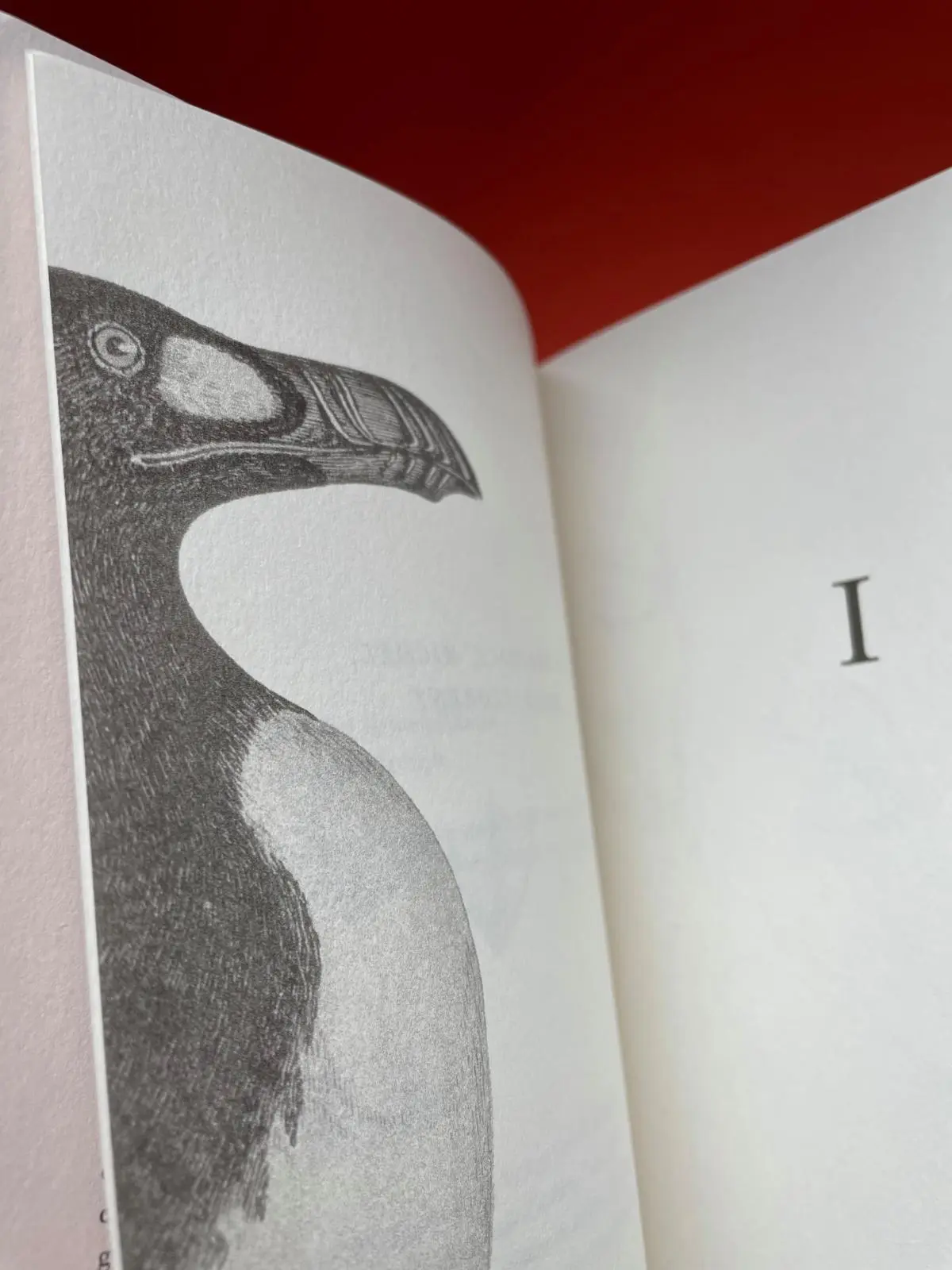 Bild: 9783961611683 | Der Letzte seiner Art | Sibylle Grimbert | Buch | 256 S. | Deutsch