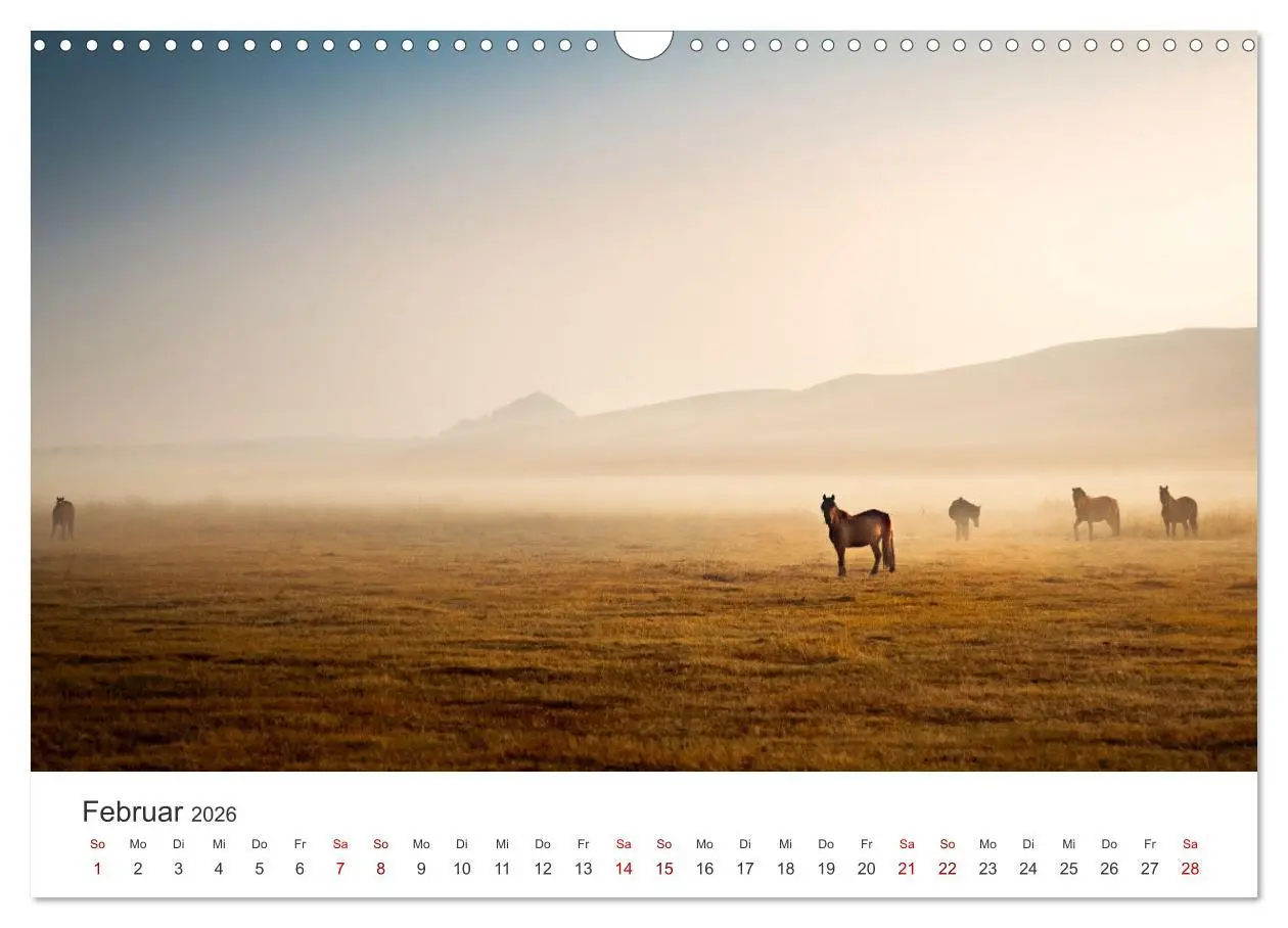 Bild: 9783457551783 | Freiheitsliebende Wildpferde (Wandkalender 2026 DIN A3 quer),...