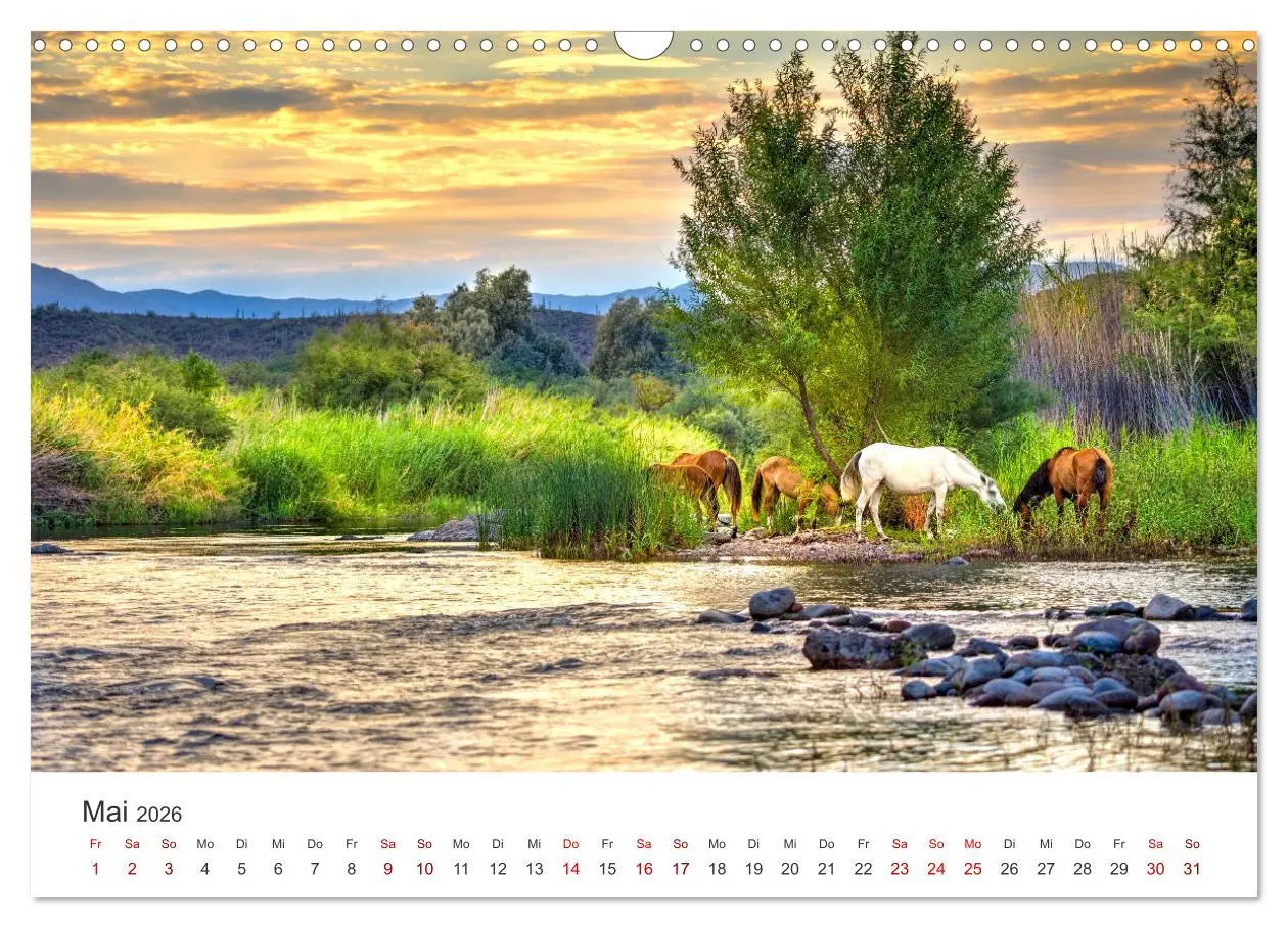 Bild: 9783457551783 | Freiheitsliebende Wildpferde (Wandkalender 2026 DIN A3 quer),...