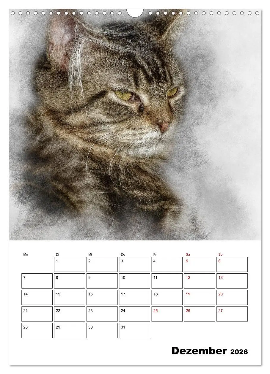 Bild: 9783516401783 | Maine Coon Katzen (Wandkalender 2026 DIN A3 hoch), CALVENDO...