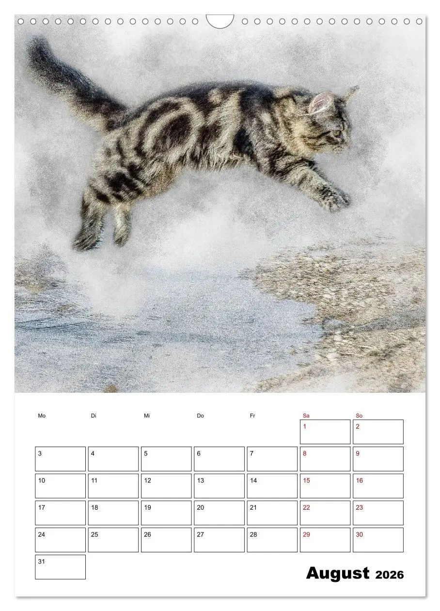 Bild: 9783516401783 | Maine Coon Katzen (Wandkalender 2026 DIN A3 hoch), CALVENDO...