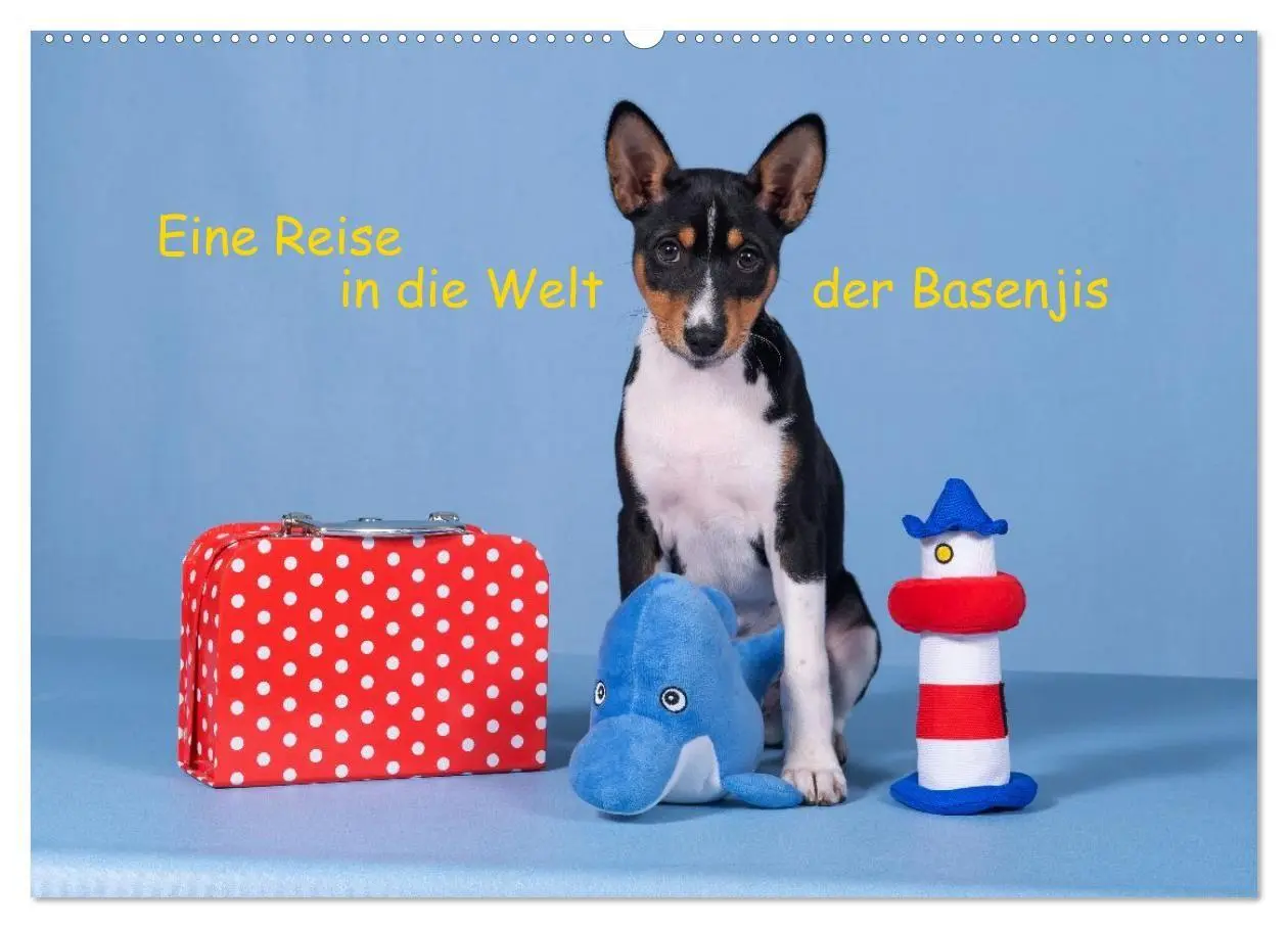 Cover: 9783516711783 | Eine Reise in die Welt der Basenjis (Wandkalender 2026 DIN A2...