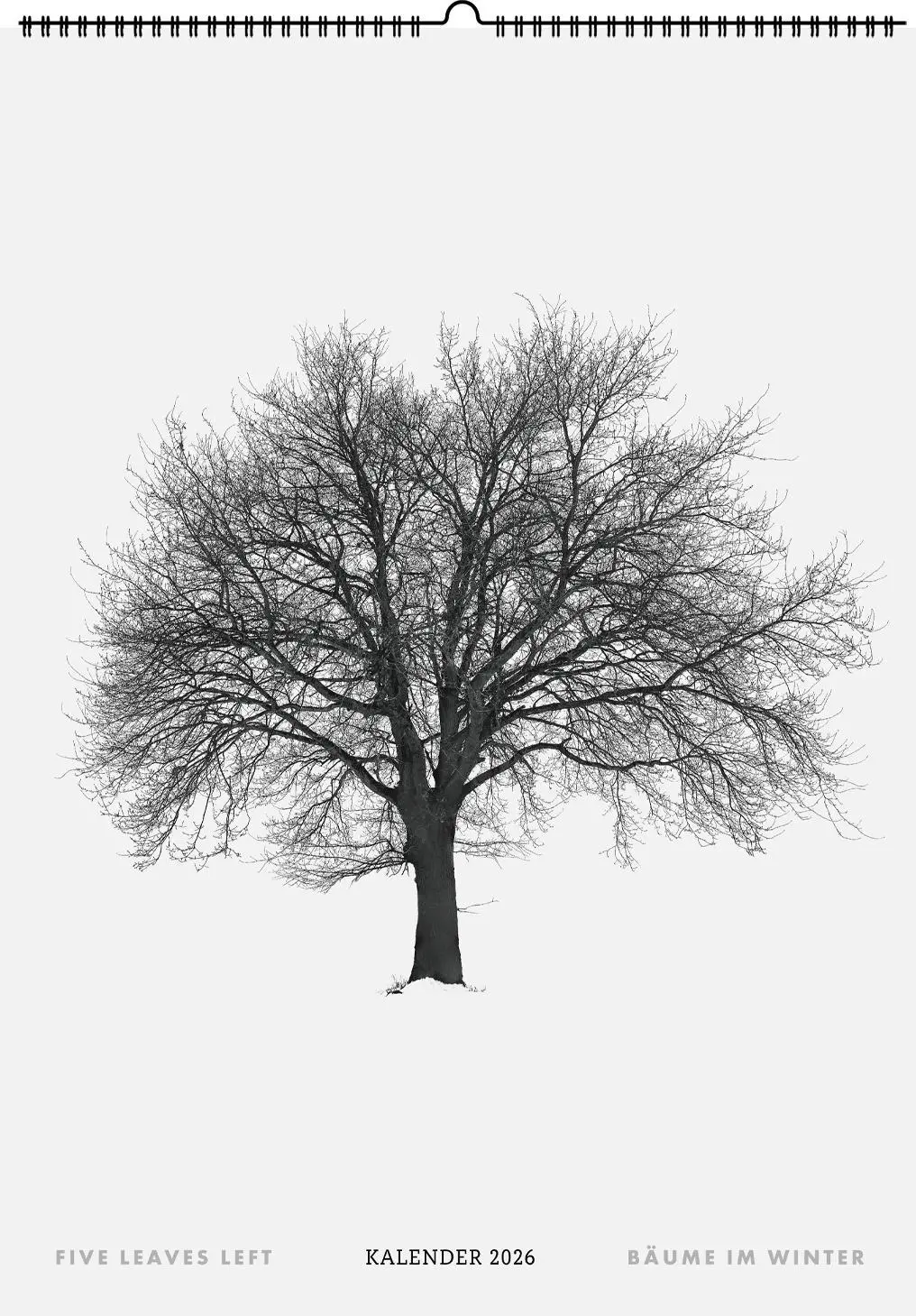 Cover: 9783968491783 | Five Leaves Left. Wandkalender 2026 | Bäume im Winter | Todd Schulz