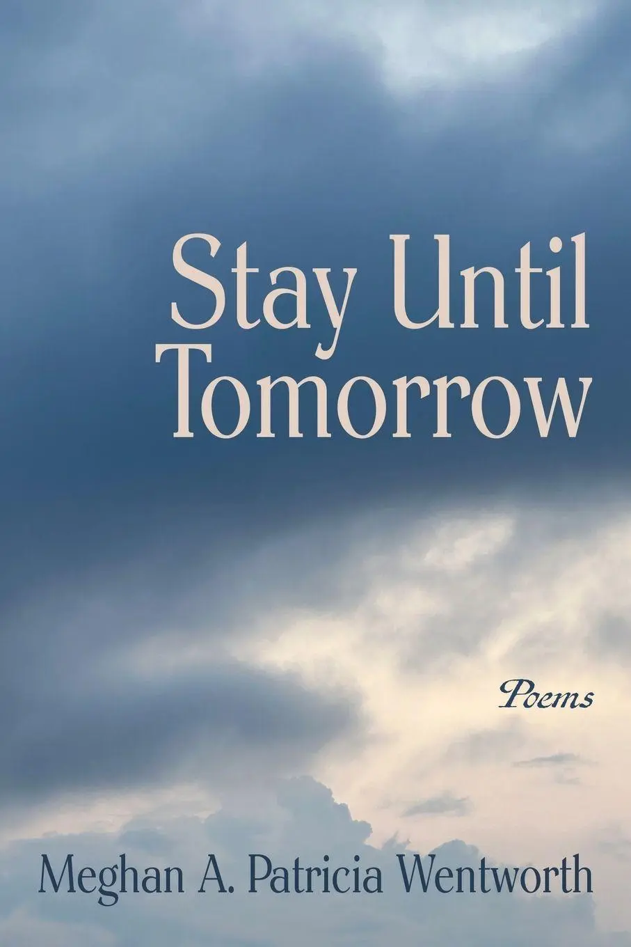 Cover: 9781578691883 | Stay Until Tomorrow | Poems | Meghan A. Patricia Wentworth | Buch