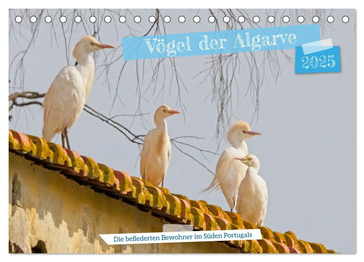 Cover: 9783457161883 | Vögel der Algarve (Tischkalender 2025 DIN A5 quer), CALVENDO...