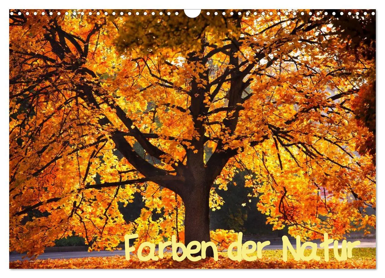 Cover: 9783516181883 | Farben der Natur (Wandkalender 2026 DIN A3 quer), CALVENDO...