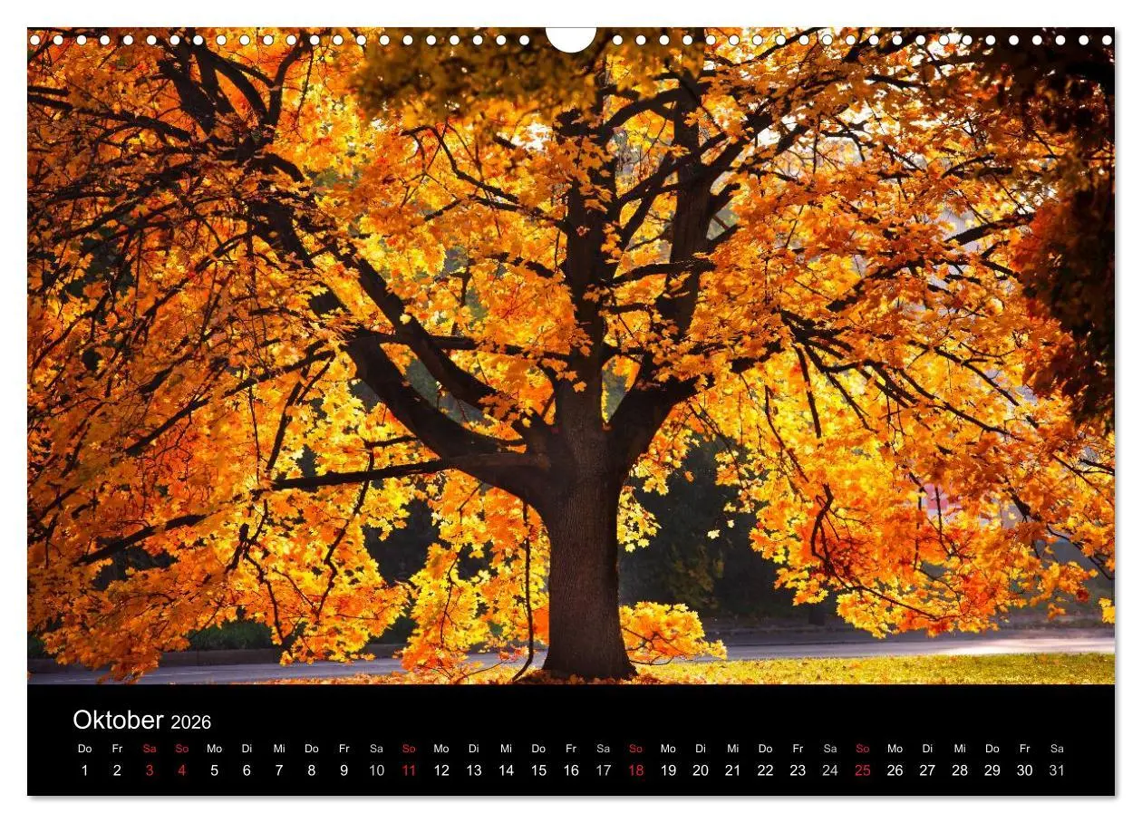 Bild: 9783516181883 | Farben der Natur (Wandkalender 2026 DIN A3 quer), CALVENDO...