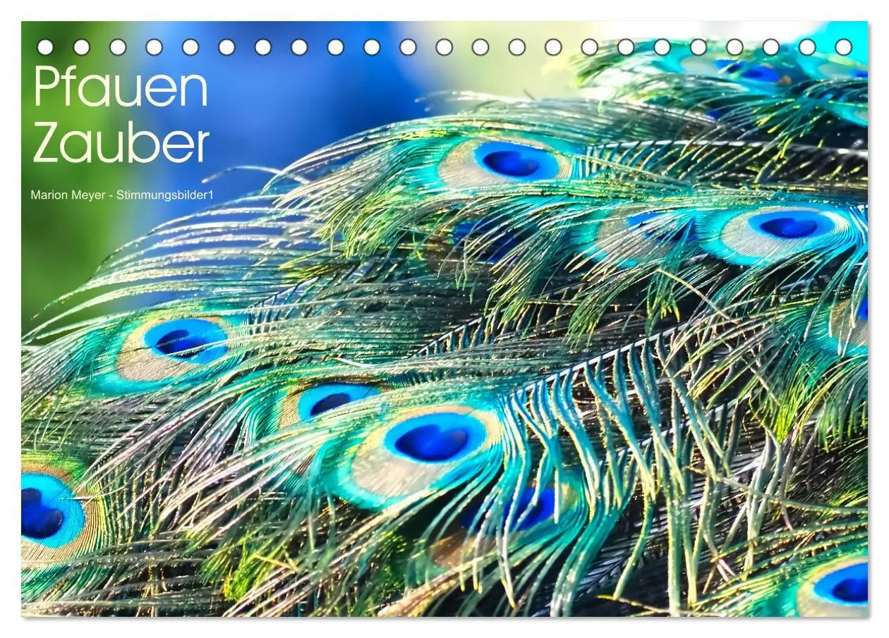 Cover: 9783457531983 | Pfauen Zauber (Tischkalender 2026 DIN A5 quer), CALVENDO...