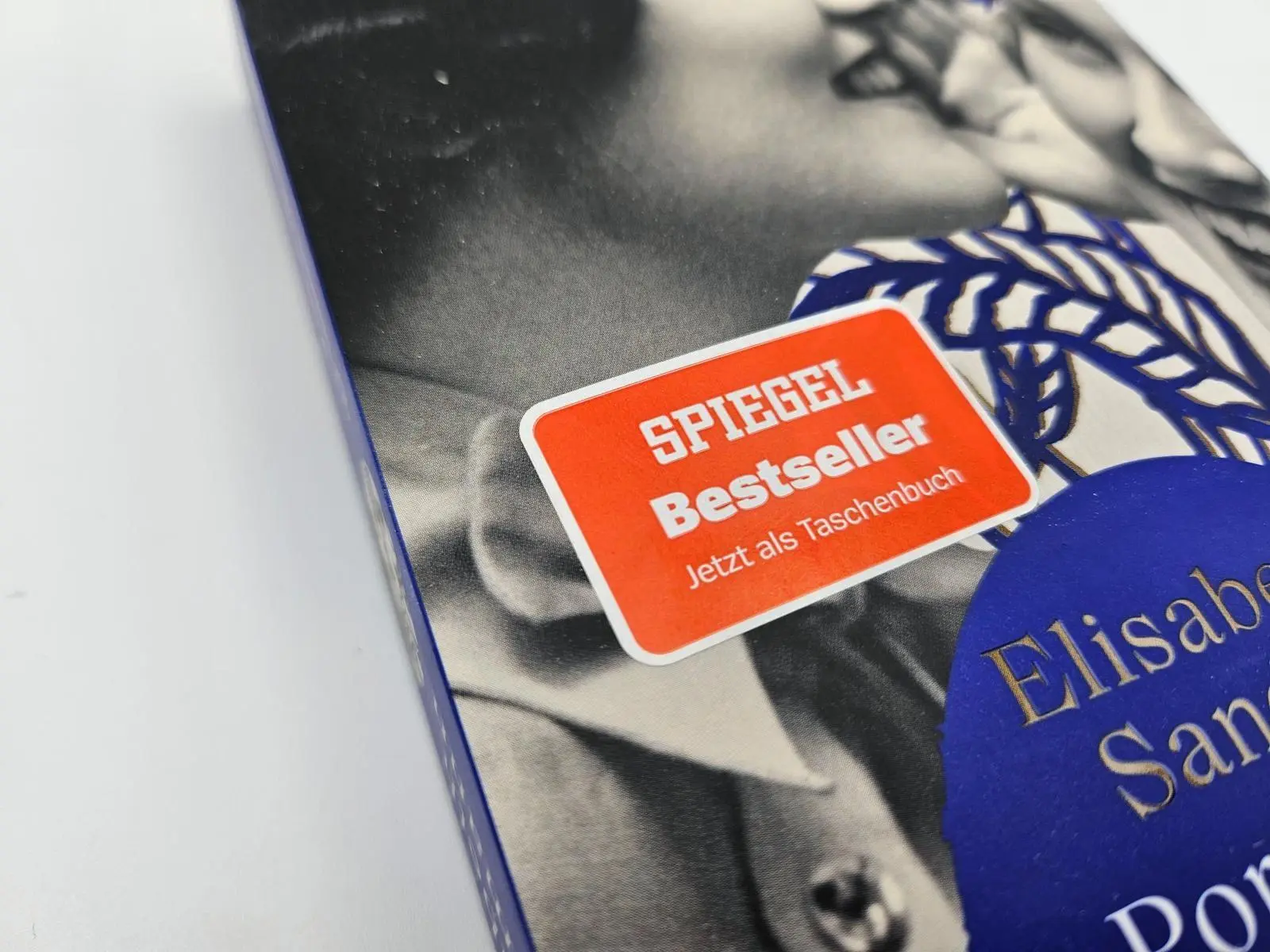 Bild: 9783492321983 | Porträt auf grüner Wandfarbe | Elisabeth Sandmann | Taschenbuch | 2025