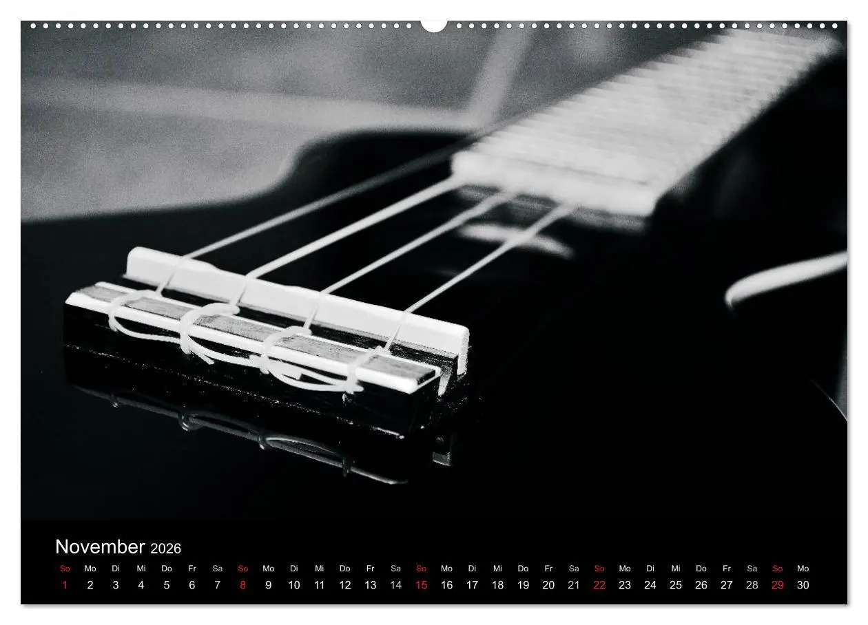 Bild: 9783516001983 | Meine Saiten Ansichten - Banjo, Gitarre, Klavier, Ukulele und...