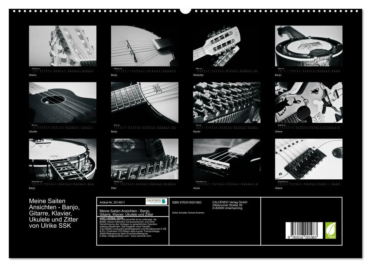 Bild: 9783516001983 | Meine Saiten Ansichten - Banjo, Gitarre, Klavier, Ukulele und...