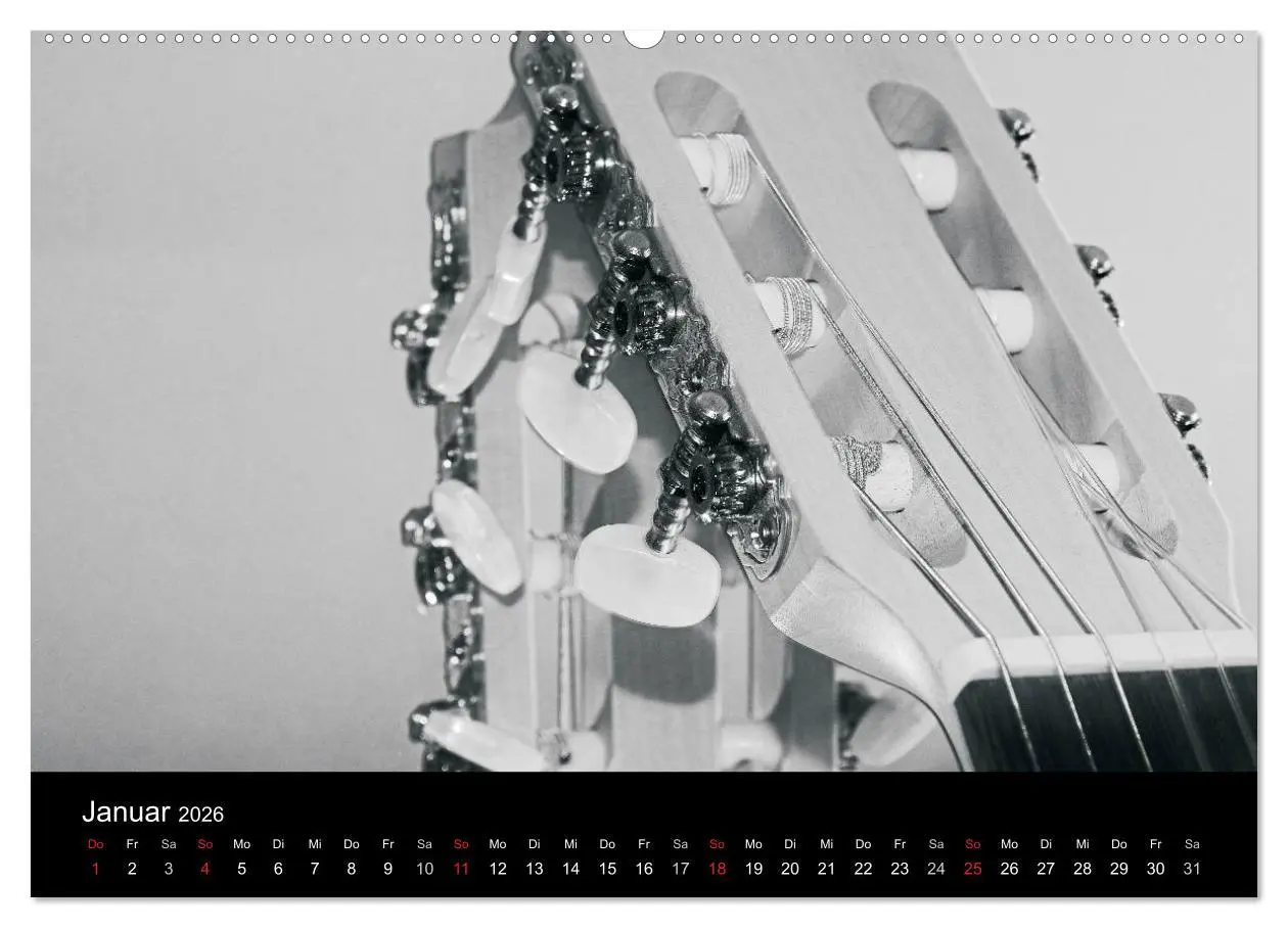 Bild: 9783516001983 | Meine Saiten Ansichten - Banjo, Gitarre, Klavier, Ukulele und...