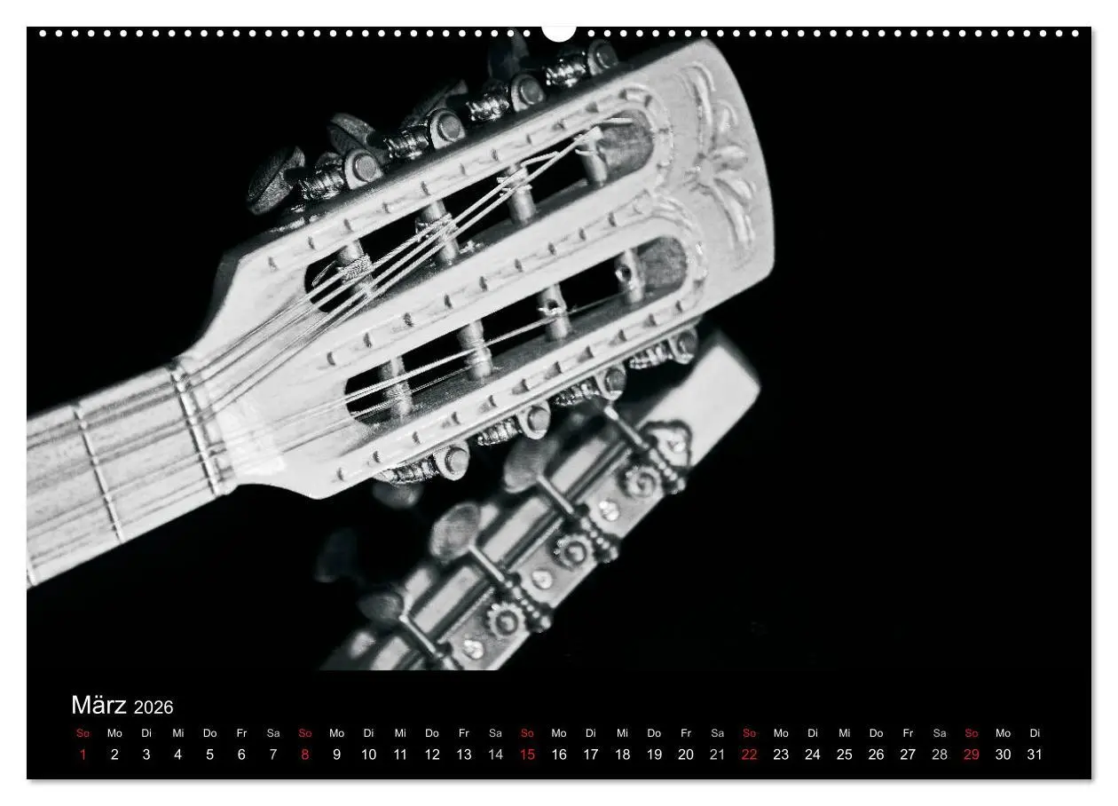 Bild: 9783516001983 | Meine Saiten Ansichten - Banjo, Gitarre, Klavier, Ukulele und...