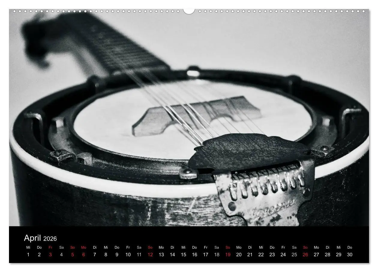 Bild: 9783516001983 | Meine Saiten Ansichten - Banjo, Gitarre, Klavier, Ukulele und...