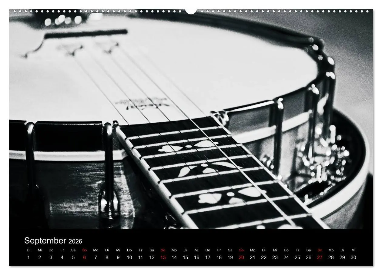 Bild: 9783516001983 | Meine Saiten Ansichten - Banjo, Gitarre, Klavier, Ukulele und...