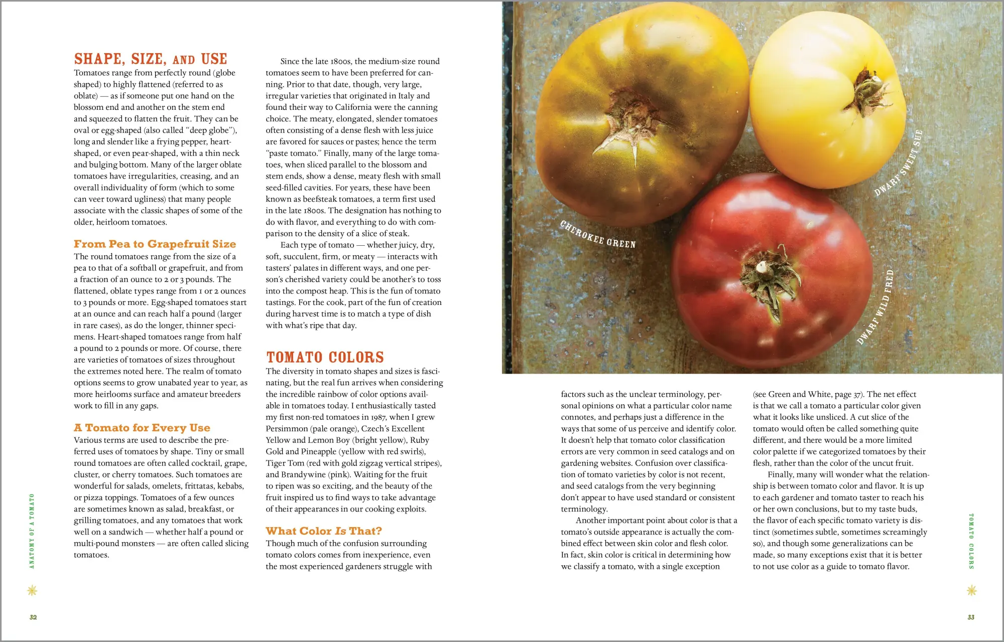Bild: 9781612122083 | Epic Tomatoes | How to Select and Grow the Best Varieties of All Time Bild: 9781612122083 | Epic Tomatoes | How to Select and Grow the Best Varieties of All Time