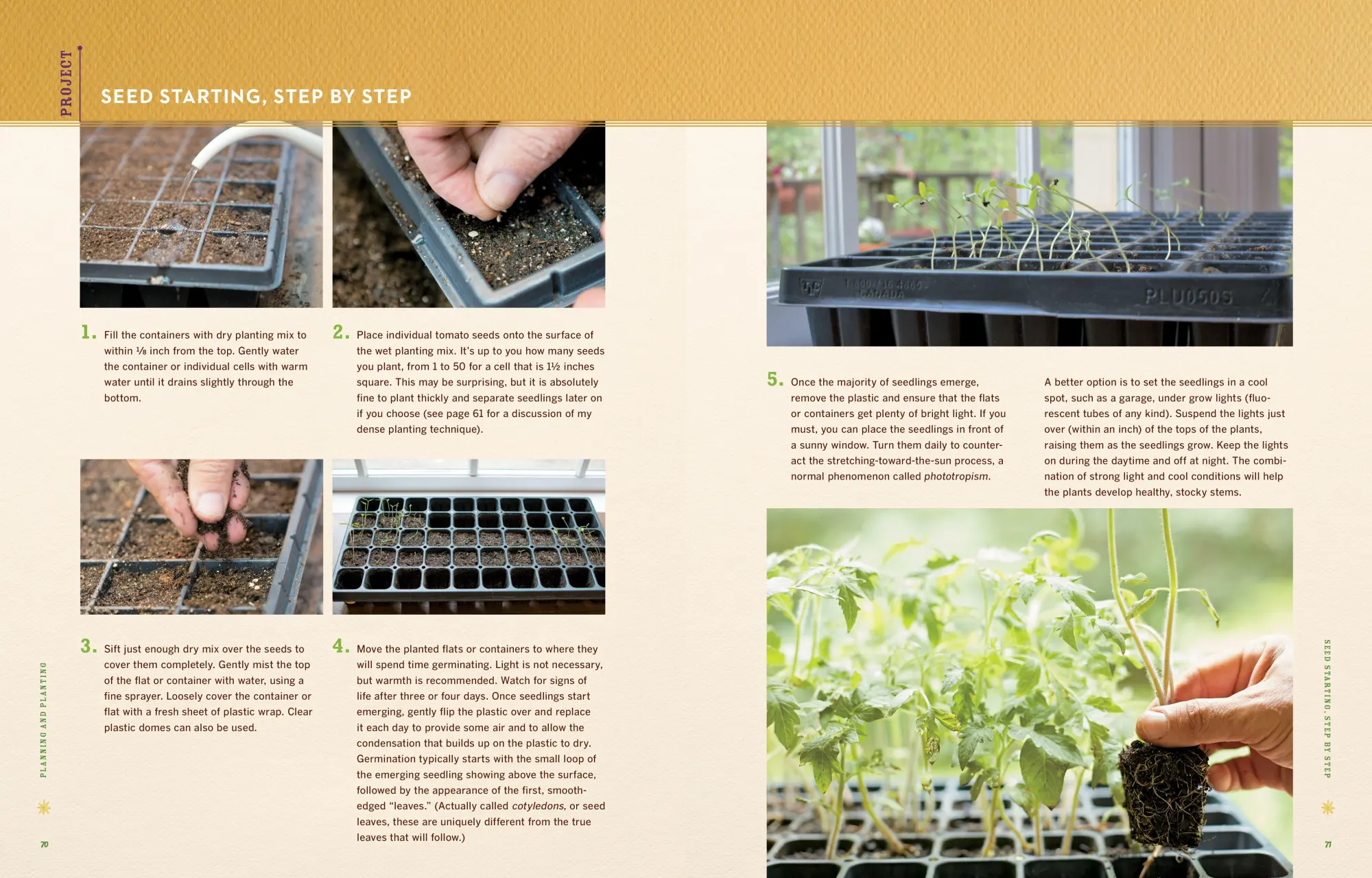 Bild: 9781612122083 | Epic Tomatoes | How to Select and Grow the Best Varieties of All Time Bild: 9781612122083 | Epic Tomatoes | How to Select and Grow the Best Varieties of All Time