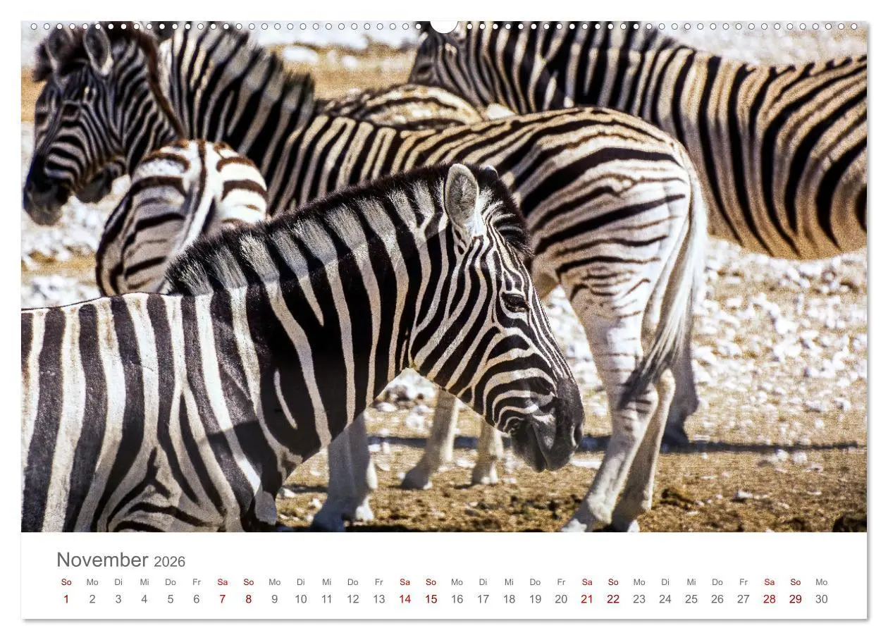 Bild: 9783457592083 | Namibia - Land im Süden Afrikas (hochwertiger Premium Wandkalender...