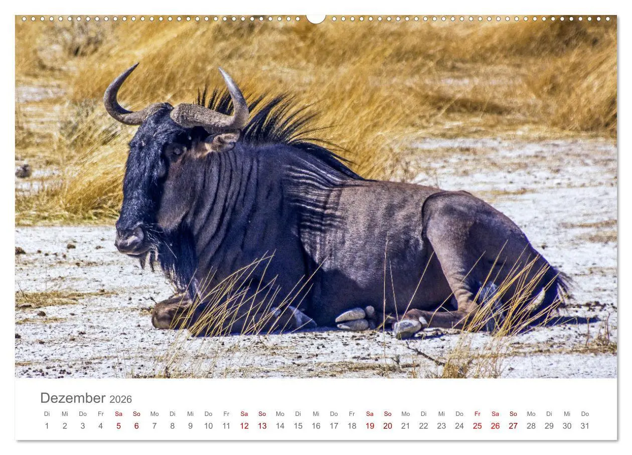 Bild: 9783457592083 | Namibia - Land im Süden Afrikas (hochwertiger Premium Wandkalender...