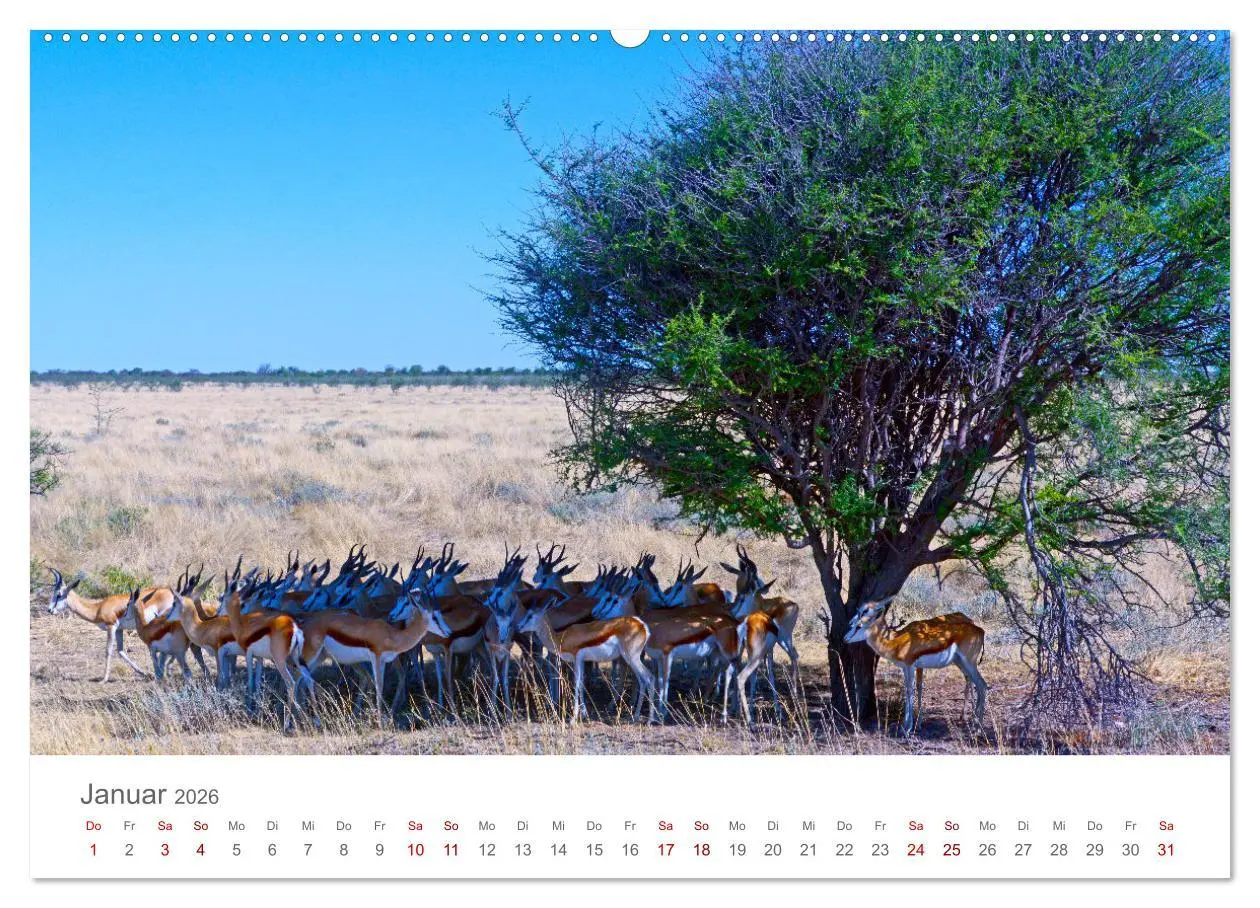 Bild: 9783457592083 | Namibia - Land im Süden Afrikas (hochwertiger Premium Wandkalender...