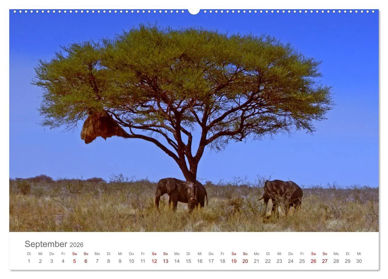 Bild: 9783457592083 | Namibia - Land im Süden Afrikas (hochwertiger Premium Wandkalender...