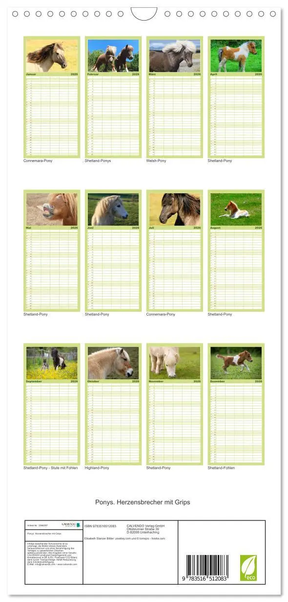 Bild: 9783516512083 | Familienplaner 2026 - Ponys. Herzensbrecher mit Grips mit 5 Spalten...