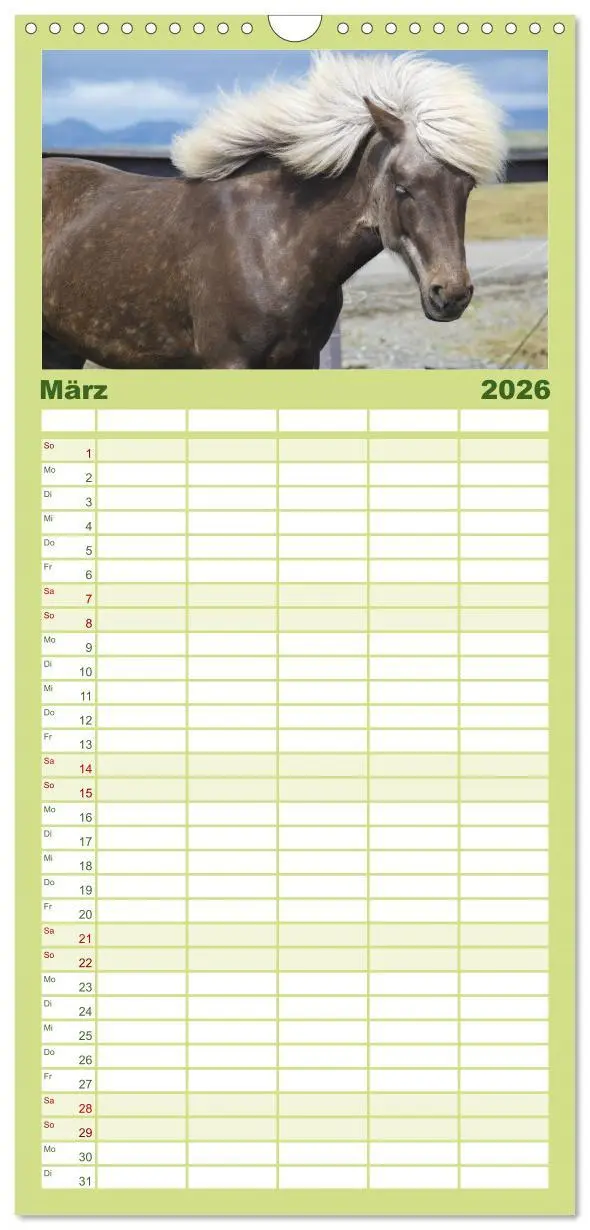 Bild: 9783516512083 | Familienplaner 2026 - Ponys. Herzensbrecher mit Grips mit 5 Spalten...