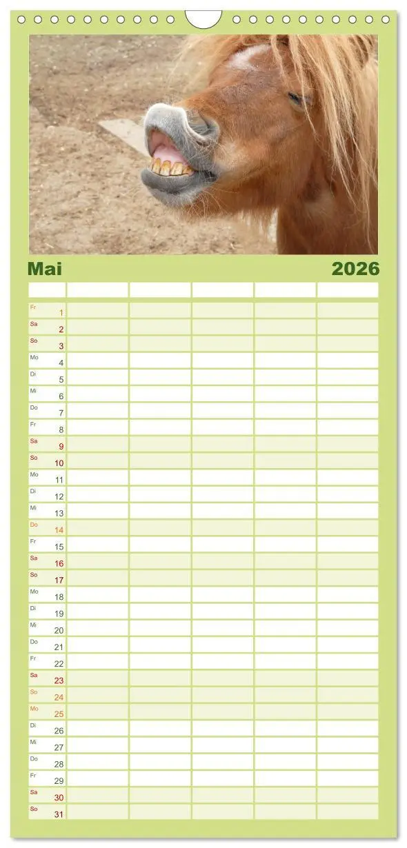 Bild: 9783516512083 | Familienplaner 2026 - Ponys. Herzensbrecher mit Grips mit 5 Spalten...